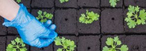 Aumenta il successo  con le luci di propagazione LED