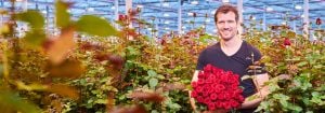 Fai risaltare le rose con le luci per la coltivazione LED