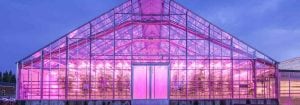 Illuminazione LED per le serre