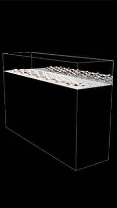 Un'immagine trasparente dell'esposizione sulle potenzialità degli OLED