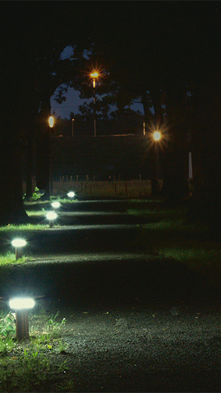 Percorso pedonale nell'High Tech Campus illuminato con le soluzioni per esterni di Philips che aumentano la sicurezza di notte