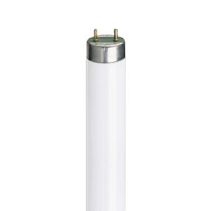 Tubo Fluorescente