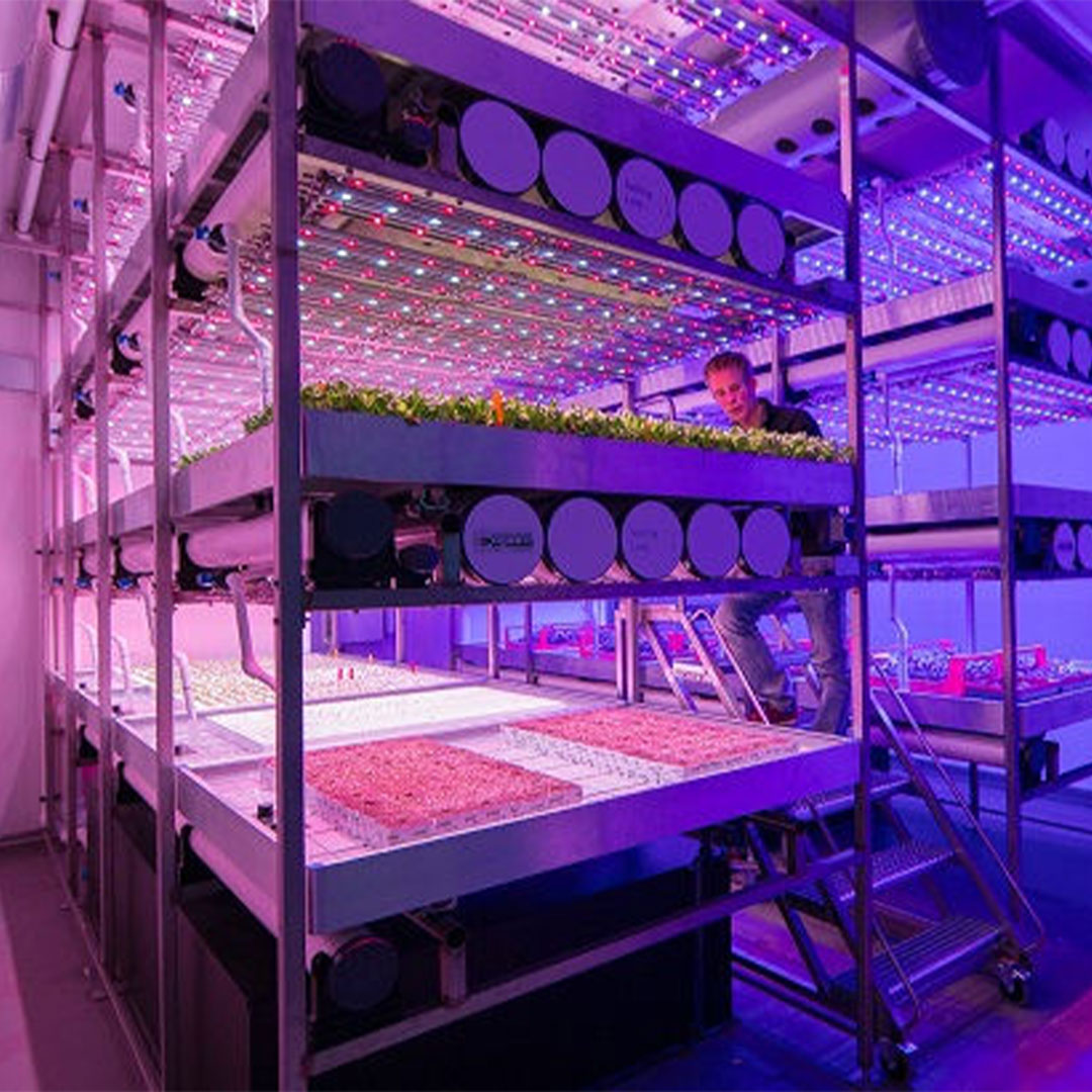 Seguici in un nuovo viaggio che unisce floricoltura e agricoltura verticale