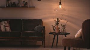 Privacy Philips lighting