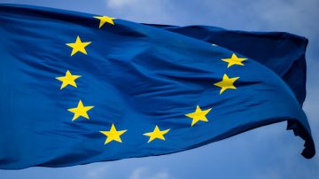 Un albero accanto a un edificio di vetro