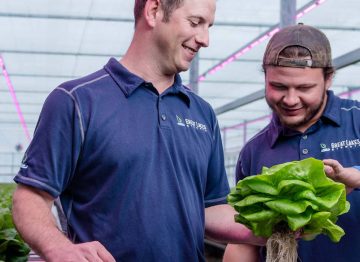 Taking the lead with horticulture LED lighting technology