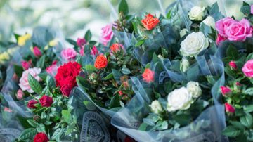 Colorful bouquet of flowers grown in Leo van der Harg’s greenhouse