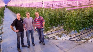 Three men posing at the Van nature Jami greenhouse lit by Philips lighting