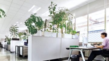 Ufficio open-space di Bosch, in Germania, illuminato da Philips Lighting Ufficio open-space di Bosch, in Germania, illuminato da Philips Lighting