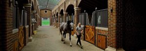 Bourne Hill Stables crea un ambiente più sicuro con l'illuminazione UV-C